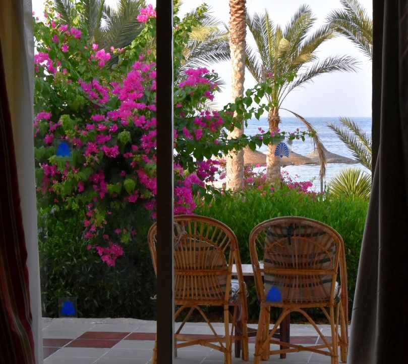 Royal Brayka Beach Resort Abu Dabbab Exterior photo